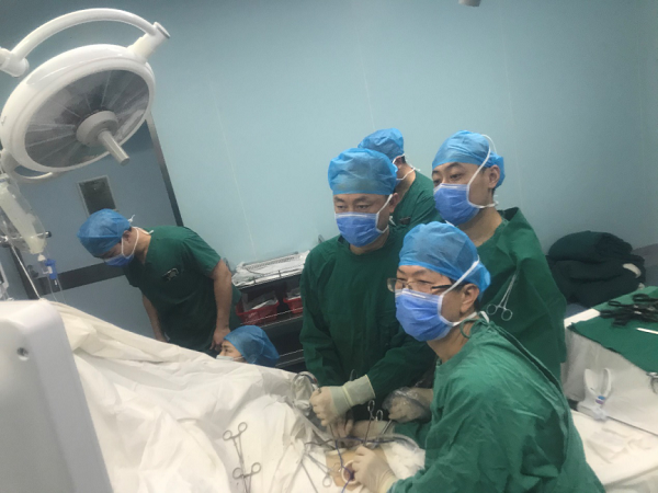 圖片 4.png 圖片 4.png