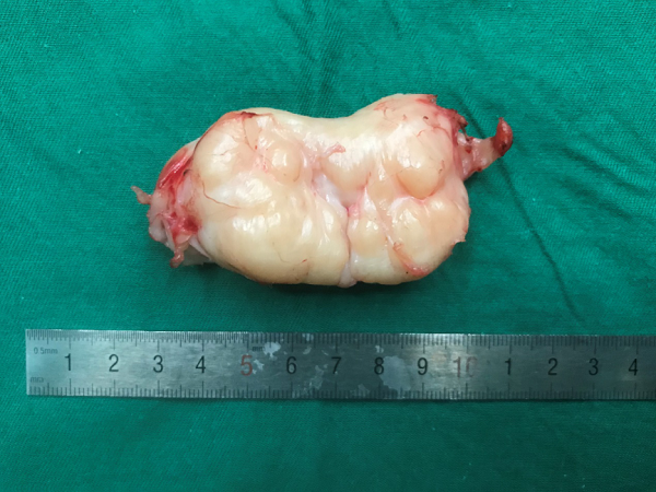 圖片 5.png 圖片 5.png