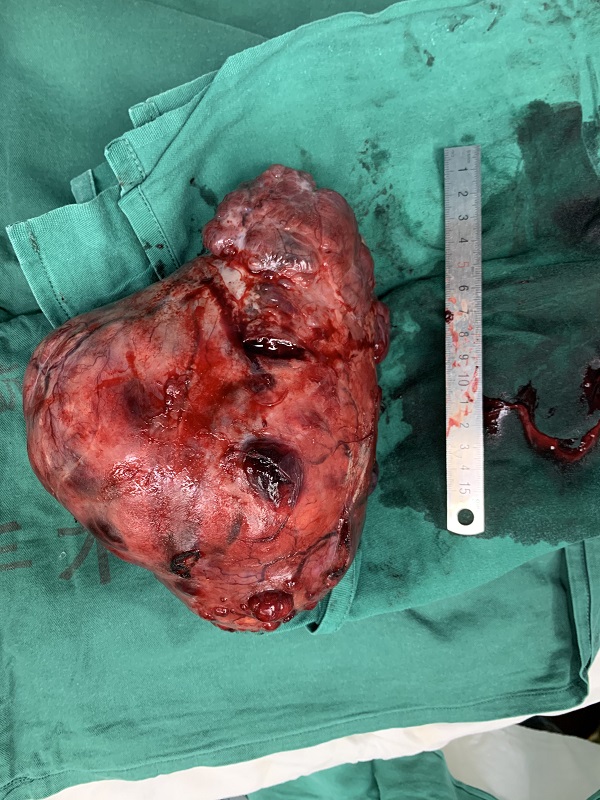 微信(xin)圖片_20200814163544.jpg 微信(xin)圖片_20200814163544.jpg