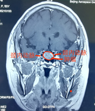 slide3901_image041.jpg slide3901_image041.jpg