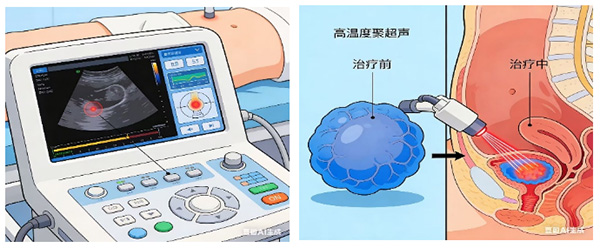 DM_20251219174154_002.jpg DM_20251219174154_002.jpg